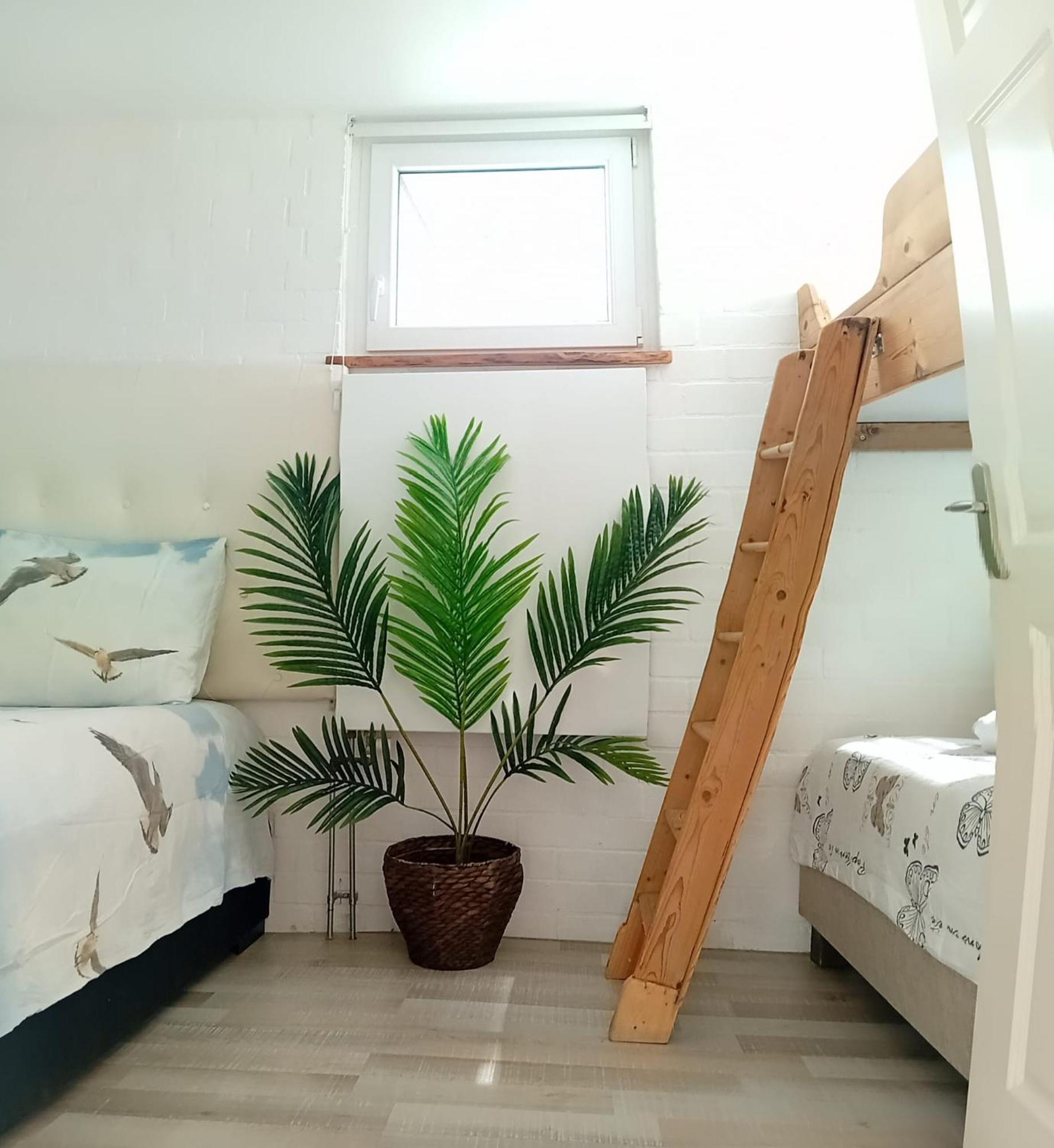 OoltgensplaatWaterland公寓 外观 照片