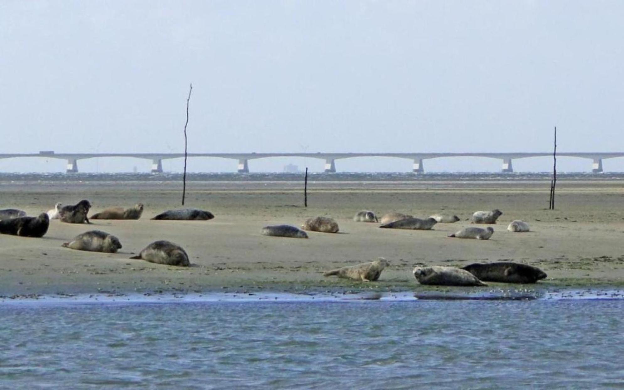 OoltgensplaatWaterland公寓 外观 照片