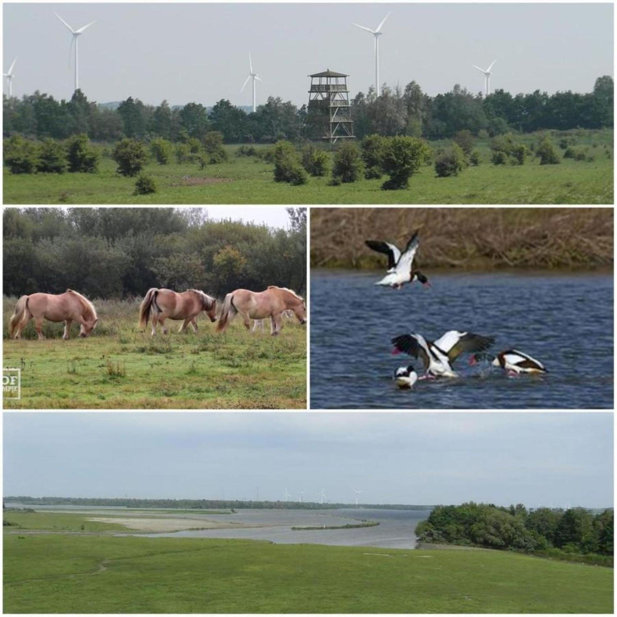 OoltgensplaatWaterland公寓 外观 照片